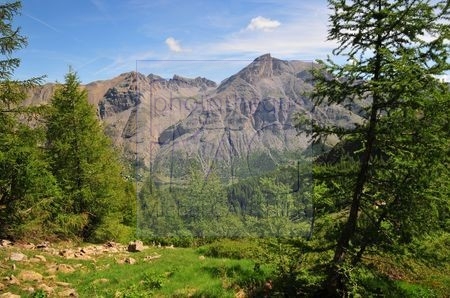 Col des Esbeliousses (Alpes de haute Provence)