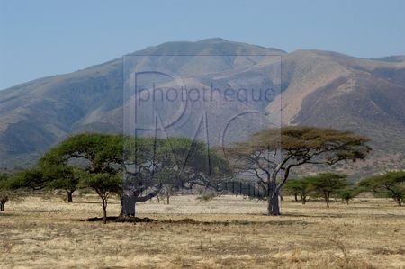 Serengeti (Tanzanie)