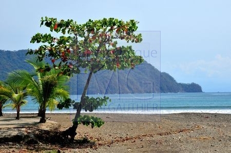 Playa Tambor (Costa Rica)
