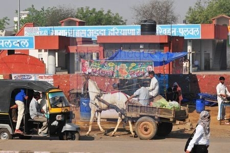 Delhi (Inde)