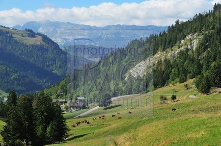 Col des Aravis (Haute Savoie)