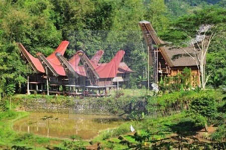 Pays Toraja (Sulawesi)