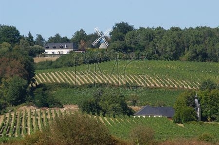 Bourgueil (Indre et Loire)