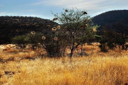 Damaraland (Namibie)