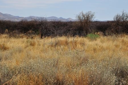 Le Bush (Namibie)