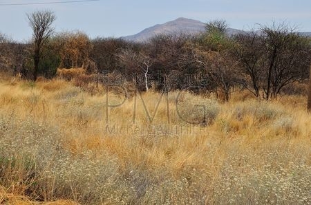 Le Bush (Namibie)