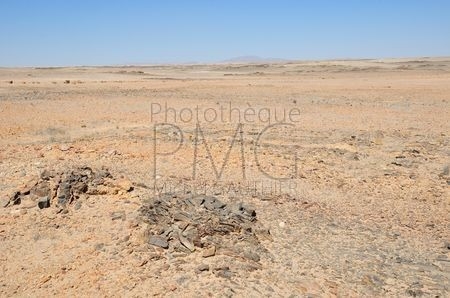 Le désert du Namib (Namibie)