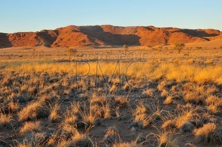 Les dunes de Sossusvlei (Namibie)