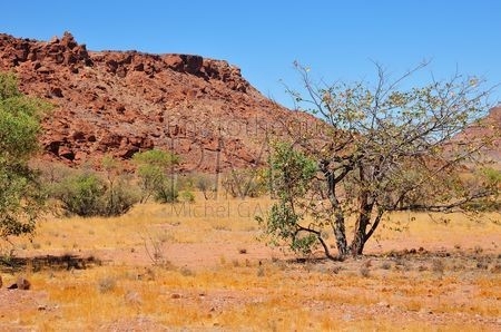 Twyfelfontein (Namibie)