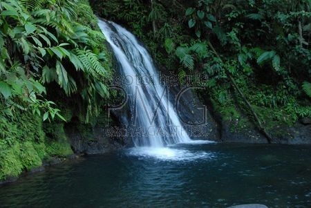 Cascade aux écrevisses (Basse Terre - Guadeloupe)