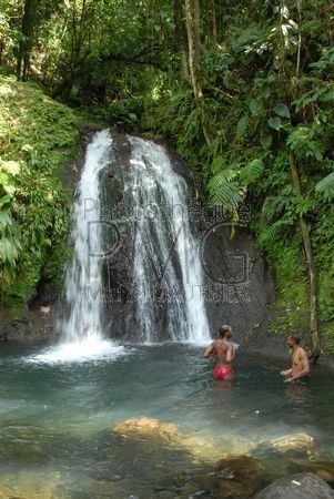 Cascade aux écrevisses (Basse Terre - Guadeloupe)
