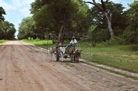 Village du Zimbabwe