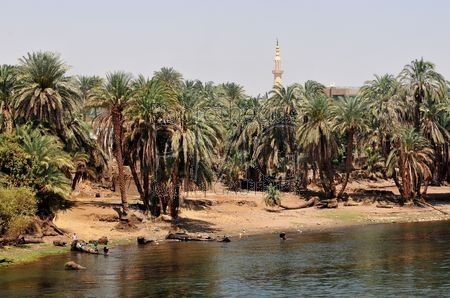 Louxor (Egypte) Thèbes