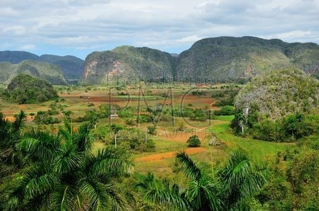 Vallée de Vinales (Cuba)