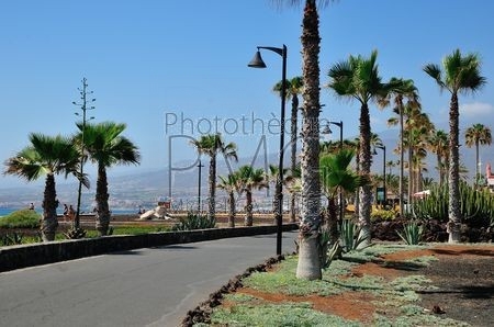Playa de las Americas (Tenerife)