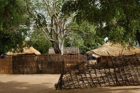 Village du Saloum (Sénégal)