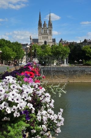 Angers (Maine et Loire)