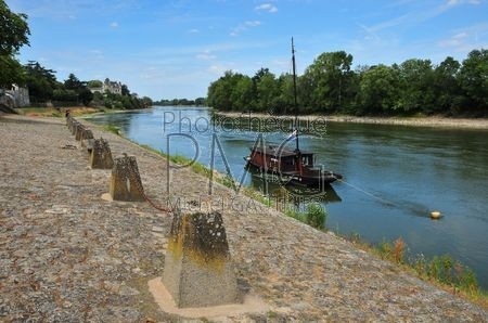 Chalonnes sur Loire  (Maine et Loire)