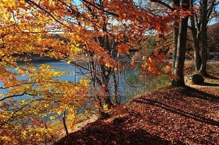 Le Lac de Chaumeçon (Nièvre)