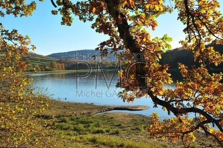 Le Lac de Crescent (Nièvre)