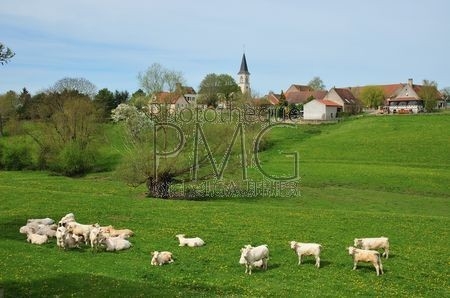 Saint Léger des Vignes (Nièvre)