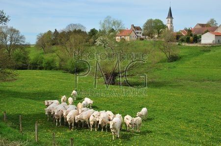 Saint Léger des Vignes (Nièvre)