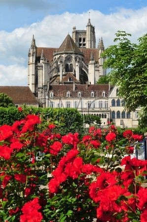 Auxerre (Yonne)
