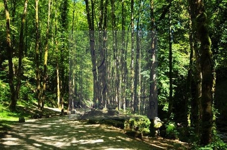 Cascades du Hérisson (Jura)