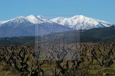Le Pic du Canigou (Pyrénées Orientales)