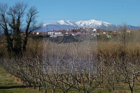 Le Pic du Canigou (Pyrénées Orientales)