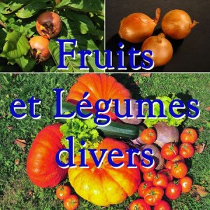 Fruit Légumes divers