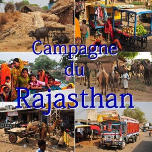 Campagne du Rajasthan