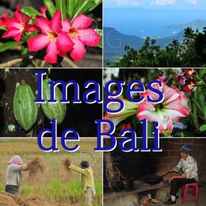 Images de Bali