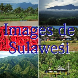 Images de Sulawesi