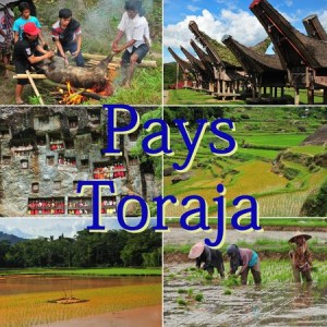 Pays Toraja