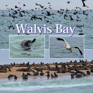 Walvis Bay