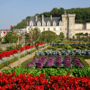 Villandry Château et Jardins