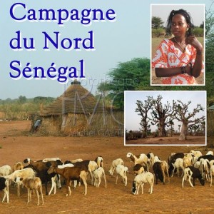 Campagne du Nord Sénégal
